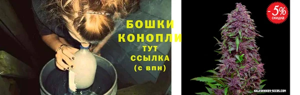 spice Абинск
