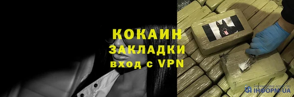 хмурый Абаза