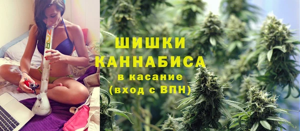 хмурый Абаза