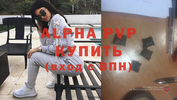 хмурый Абаза