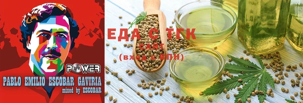 хмурый Абаза