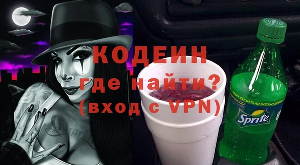 хмурый Абаза