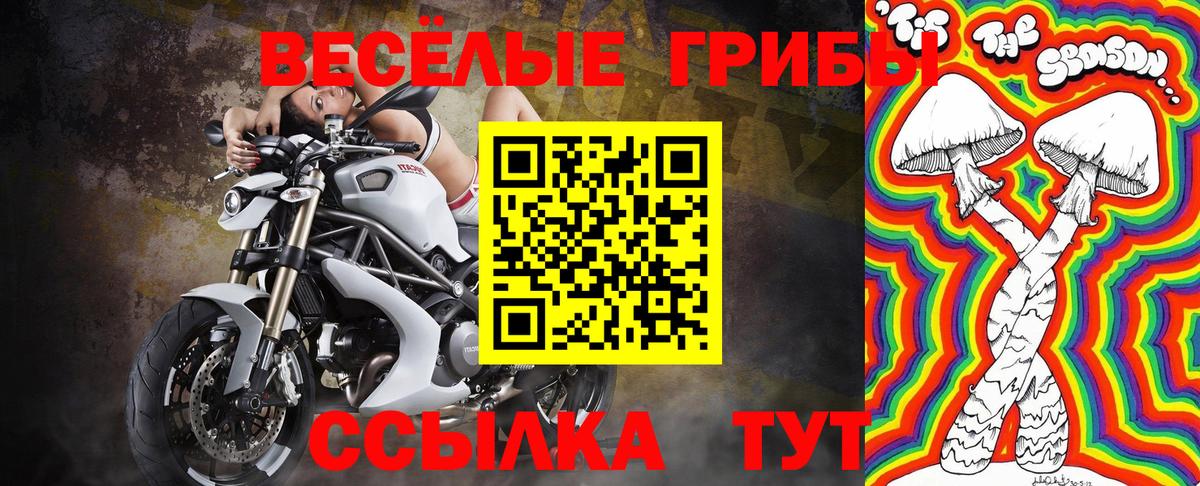 Лесозаводск  Галлюциногенные грибы прущие грибы  Вход с VPN  Галлюциногенные грибы прущие грибы 