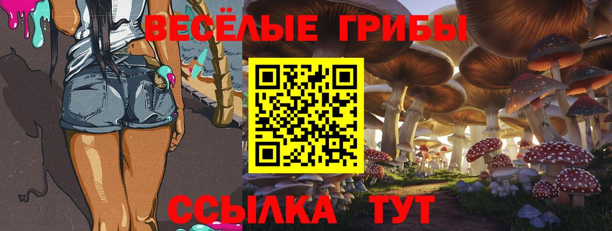 Галлюциногенные грибы ЛСД Лесозаводск