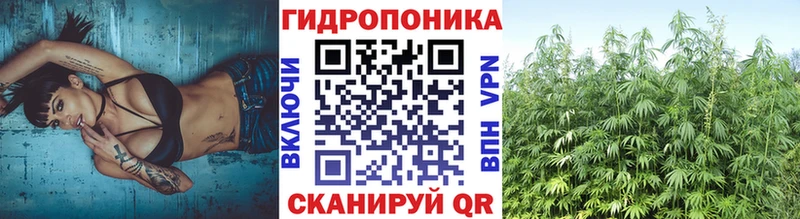 Каннабис конопля Лесозаводск